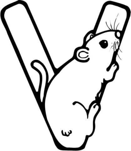 Letter V Is For Vole Rodent Coloring Page